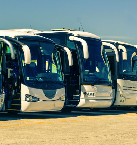 Buses - Perfect Bus Rental Transportation Service Near Me